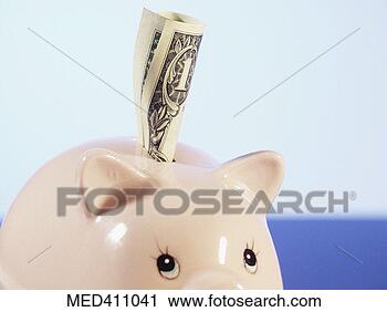 Stock Photography - close-up of a 
piggy bank with 
a one dollar american 
bank note. fotosearch 
- search stock 
photos, pictures, 
images, and photo 
clipart