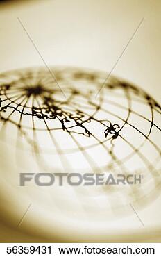 Arquivo de Fotografia - despesas gerais, 
 vista,  ilustração, 
 mundo,  mapa, 
 parte,  close-up. 
fotosearch - busca 
de fotos, imagens 
e clipart