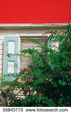 Stock Photo - flowers outside 
a house with red 
roof, st gustavia, 
st barts. fotosearch 
- search stock 
photos, pictures, 
images, and photo 
clipart