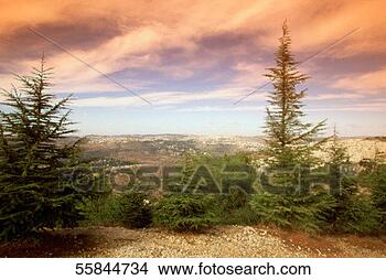 Stock Photo - israel, jerusalem, 
yad vashem, holocaust 
museum. fotosearch 
- search stock 
photos, pictures, 
images, and photo 
clipart