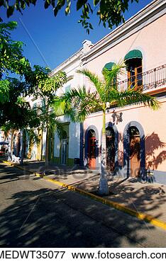Picture - mexico, mazatlan, 
old town square. 
fotosearch - search 
stock photos, 
pictures, images, 
and photo clipart