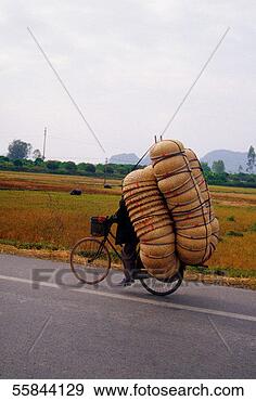 Stock Photograph - person cycling 
with load of basket, 
vietnam. fotosearch 
- search stock 
photos, pictures, 
images, and photo 
clipart