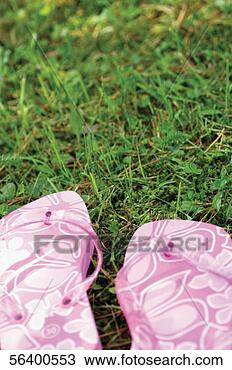 Stock Photo - pink flip-flops 
on grass. fotosearch 
- search stock 
photos, pictures, 
images, and photo 
clipart