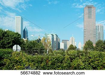 Stock Photo - trees in front 
of buildings in 
a city,  downtown 
chicago,  chicago. 
fotosearch - search 
stock photos, 
pictures, images, 
and photo clipart