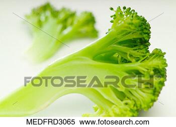 Stock Image - two pieces of 
broccoli, close-up, 
selective focus. 
fotosearch - search 
stock photos, 
pictures, images, 
and photo clipart