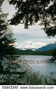 Stock Photograph - panoramic view 
of snowcapped 
mountains,  mendenhall 
glacier,  tongass. 
fotosearch - search 
stock photos, 
pictures, images, 
and photo clipart