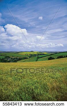 Stock Photo - panoramic view 
of a field, dartmouth, 
devon, england. 
fotosearch - search 
stock photos, 
pictures, images, 
and photo clipart