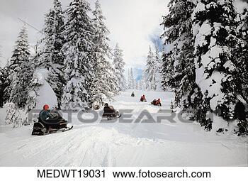 Stock Photography - people on snowmobiles 
in yellowstone 
national park 
in wyoming, usa. 
fotosearch - search 
stock photos, 
pictures, images, 
and photo clipart