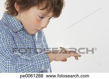 Stock Photo - young boy indoors 
looking at a moth 
on hand. fotosearch 
- search stock 
photos, pictures, 
images, and photo 
clipart