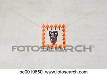 Stock Photography - woman sitting 
cross legged inside 
box of traffic 
cones. fotosearch 
- search stock 
photos, pictures, 
images, and photo 
clipart