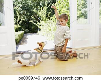 Stock Photo - a young boy playing 
with his small 
dog. fotosearch 
- search stock 
photos, pictures, 
images, and photo 
clipart