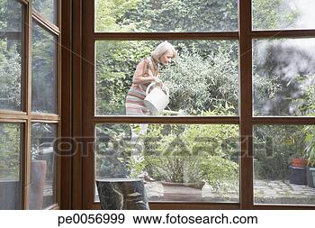 Stock Photograph - woman through 
large windows 
watering plants. 
fotosearch - search 
stock photos, 
pictures, images, 
and photo clipart