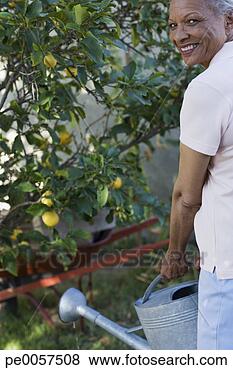 Stock Photo - woman watering 
plants outdoors. 
fotosearch - search 
stock photos, 
pictures, images, 
and photo clipart