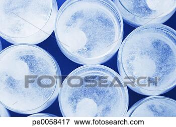 Picture - seven glasses 
of water with 
tablets dissolving 
in them. fotosearch 
- search stock 
photos, pictures, 
images, and photo 
clipart