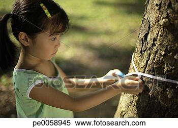 Stock Image - girl with measuring 
tape around tree 
trunk. fotosearch 
- search stock 
photos, pictures, 
images, and photo 
clipart