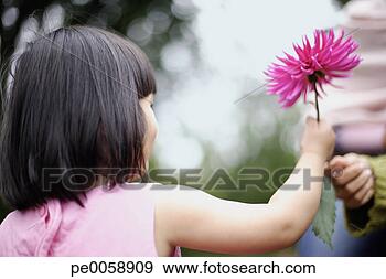 Stock Photograph - girl receiving 
flower. fotosearch 
- search stock 
photos, pictures, 
images, and photo 
clipart