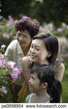 Stock Photo - three generations 
of women looking 
at plant. fotosearch 
- search stock 
photos, pictures, 
images, and photo 
clipart