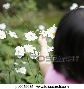 Stock Image - girl picking flowers. 
fotosearch - search 
stock photos, 
pictures, images, 
and photo clipart
