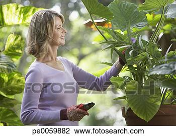 Stock Photo - woman outdoors 
gardening. fotosearch 
- search stock 
photos, pictures, 
images, and photo 
clipart