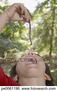 Banco de Imagem - jovem,  menino, 
 ao ar livre, 
 comer,  minhoca. 
fotosearch - busca 
de fotos, imagens 
e clipart