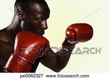 Picture - boxer wearing 
gloves practicing 
punching. fotosearch 
- search stock 
photos, pictures, 
images, and photo 
clipart