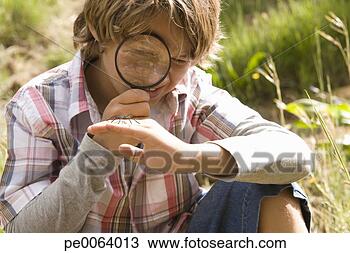 Stock Photo - boy looking at 
insect through 
magnifying glass. 
fotosearch - search 
stock photos, 
pictures, images, 
and photo clipart