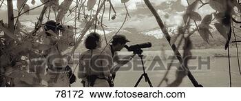 Stock Photo - bird watching 
costa rica. fotosearch 
- search stock 
photos, pictures, 
images, and photo 
clipart