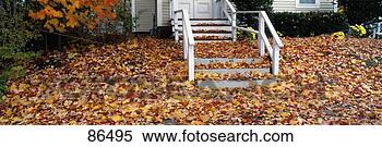 Hazır Görüntü - günahkâr,  yapraklar, 
 manchester,  
nh. fotosearch 
- foto, resim, 
görüntü ve foto 
klipart ara