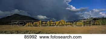 Stock Photo - storm clouds and 
aspens grand teton 
national park 
wy. fotosearch 
- search stock 
photos, pictures, 
images, and photo 
clipart