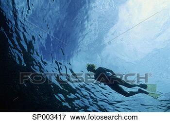 Picture - snorkelling. fotosearch 
- search stock 
photos, pictures, 
images, and photo 
clipart