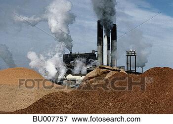 Picture - mounds of wood 
chips near paper 
mill. fotosearch 
- search stock 
photos, pictures, 
images, and photo 
clipart