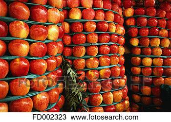 Stock Photo - apple display. 
fotosearch - search 
stock photos, 
pictures, images, 
and photo clipart