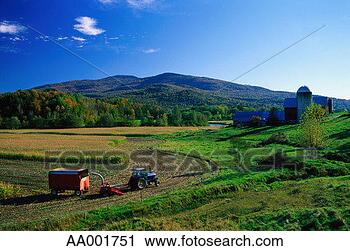 Stock Photography - harvesting corn 
on a farm in vermont. 
fotosearch - search 
stock photos, 
pictures, images, 
and photo clipart