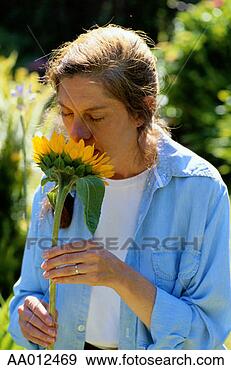 Stock Photograph - woman smelling 
a sunflower. fotosearch 
- search stock 
photos, pictures, 
images, and photo 
clipart