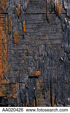 Stock Photo - burned plywood 
close-up. fotosearch 
- search stock 
photos, pictures, 
images, and photo 
clipart