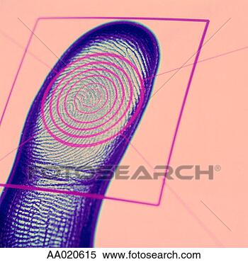 Stock Image - detail of a fingerprint 
on a computer 
monitor. fotosearch 
- search stock 
photos, pictures, 
images, and photo 
clipart