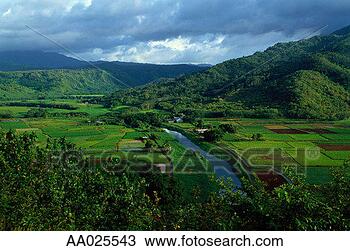 Stock Photo - hanalei valley, 
kauai, hawaii. 
fotosearch - search 
stock photos, 
pictures, images, 
and photo clipart