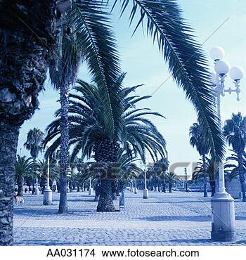 Stock Photo - town square in 
barcelona, spain. 
fotosearch - search 
stock photos, 
pictures, images, 
and photo clipart