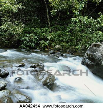 Stock Photo - flowing rapids, 
maui, hawaii. 
fotosearch - search 
stock photos, 
pictures, images, 
and photo clipart
