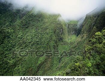 Stock Image - fog in iao valley, 
maui. fotosearch 
- search stock 
photos, pictures, 
images, and photo 
clipart