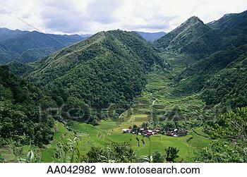 Stock Photo - rice terraces, 
philippines. fotosearch 
- search stock 
photos, pictures, 
images, and photo 
clipart