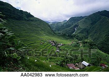 Stock Photo - rice terraces, 
philippines. fotosearch 
- search stock 
photos, pictures, 
images, and photo 
clipart