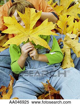 Stock Image - brothers (3-6) 
playing in fallen 
leaves, elevated 
view. fotosearch 
- search stock 
photos, pictures, 
images, and photo 
clipart