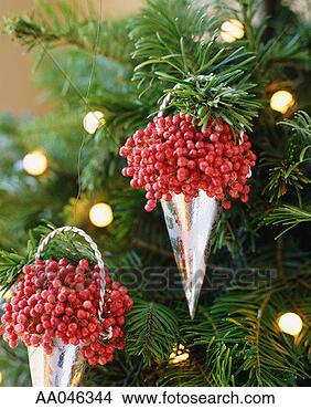 Stock Photo - holly christmas 
ornaments. fotosearch 
- search stock 
photos, pictures, 
images, and photo 
clipart