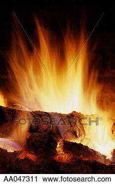 Stock Photography - log burning on 
the campfire. 
fotosearch - search 
stock photos, 
pictures, images, 
and photo clipart