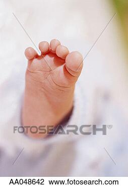 Stock Photo - baby's foot (1 
month). fotosearch 
- search stock 
photos, pictures, 
images, and photo 
clipart