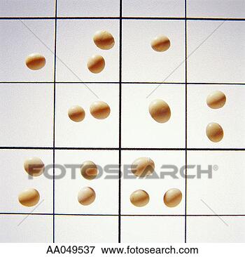 Picture - beans on graph. 
fotosearch - search 
stock photos, 
pictures, images, 
and photo clipart