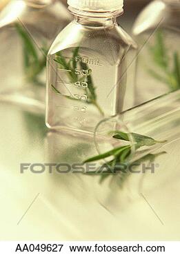 Picture - close-up of rosemary 
in vials and bottles. 
fotosearch - search 
stock photos, 
pictures, images, 
and photo clipart