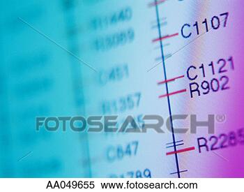 Stock Image - genetic map of 
rice. fotosearch 
- search stock 
photos, pictures, 
images, and photo 
clipart