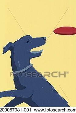 Stock Photography - dog catching flying 
disc. fotosearch 
- search stock 
photos, pictures, 
images, and photo 
clipart